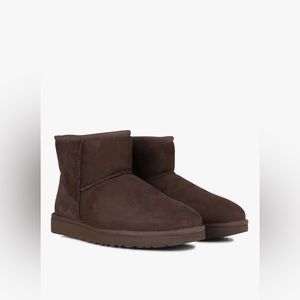 Ugh classic mini boot dark brown/chocolate